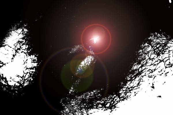 2013021501