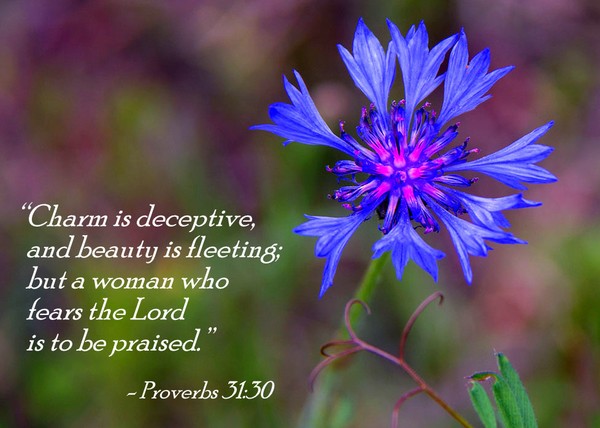 Beauty is Fleeting