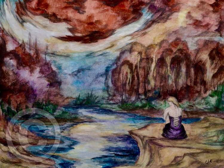 The Land of Wild Dreams 
