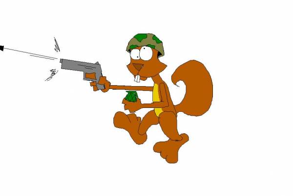 squirel