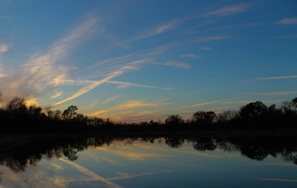 pond with reflection