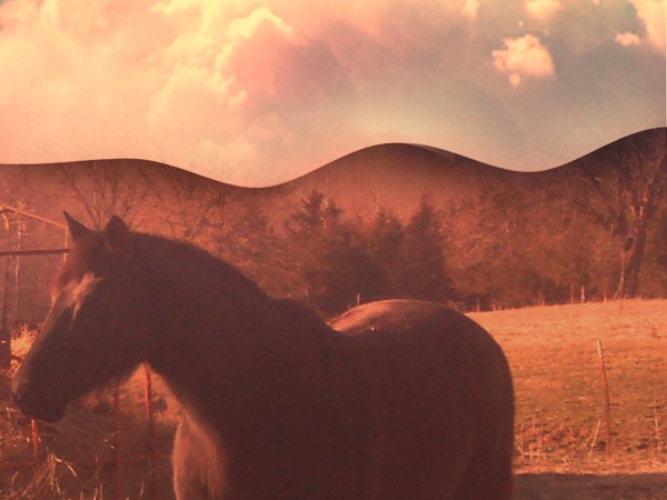 My Horse
