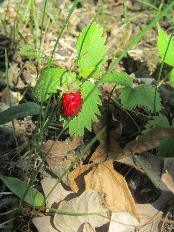 Natures little surprises