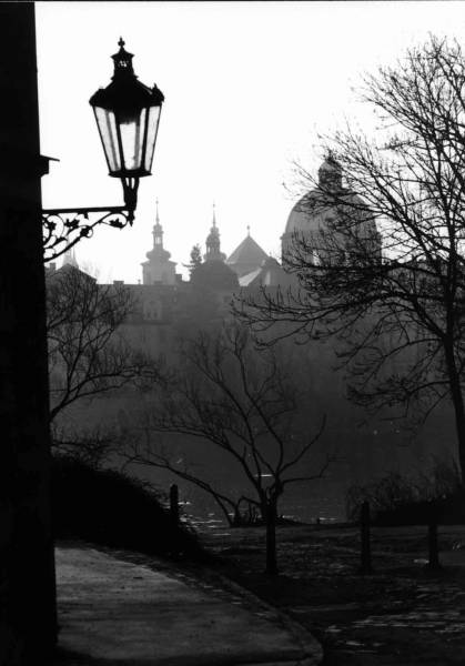 Morning  in  Prague