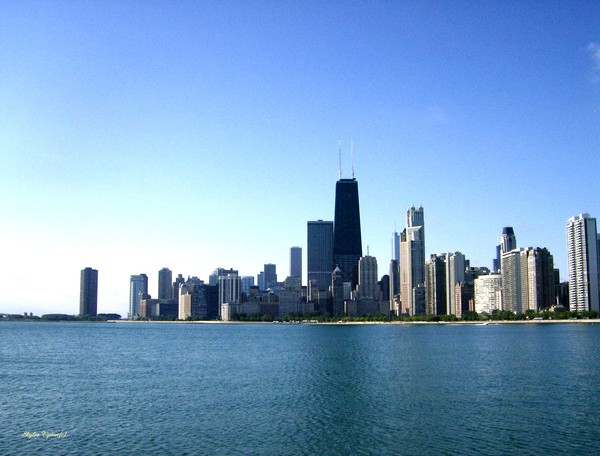 The Chicago Skyline