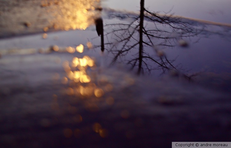 water reflection series 1