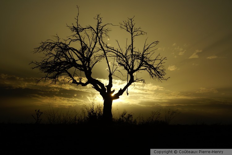 Crépuscule