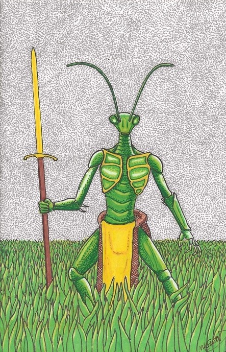 Backyard Warrior 