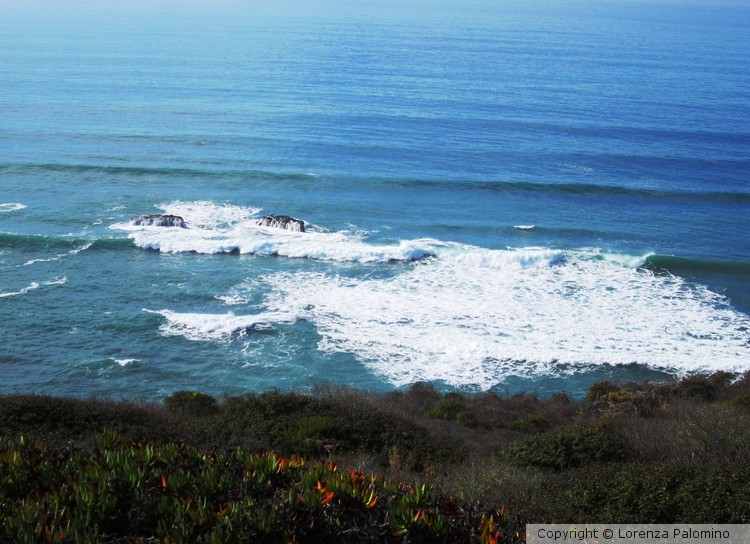 All Ocean