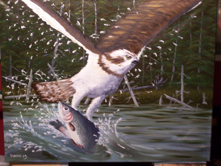 trout