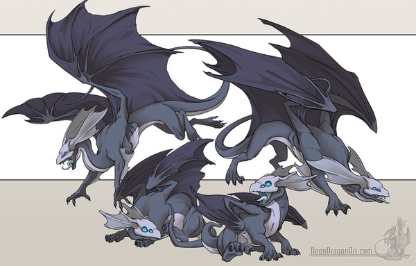 Mirror Dragons