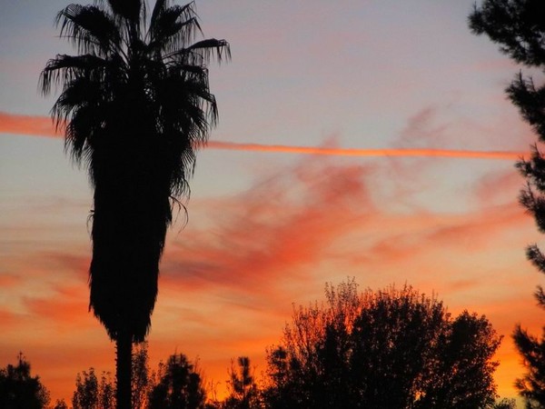 Sunset Lines 1