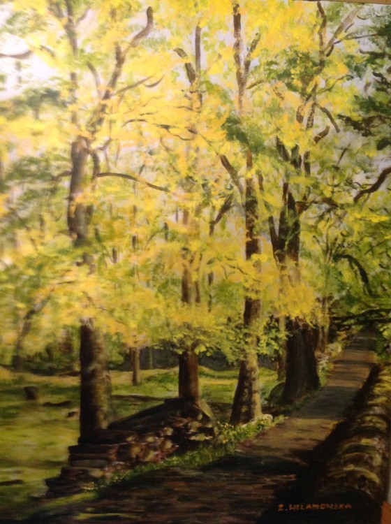 FOREST TRACK