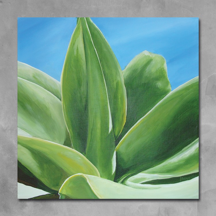 Agave