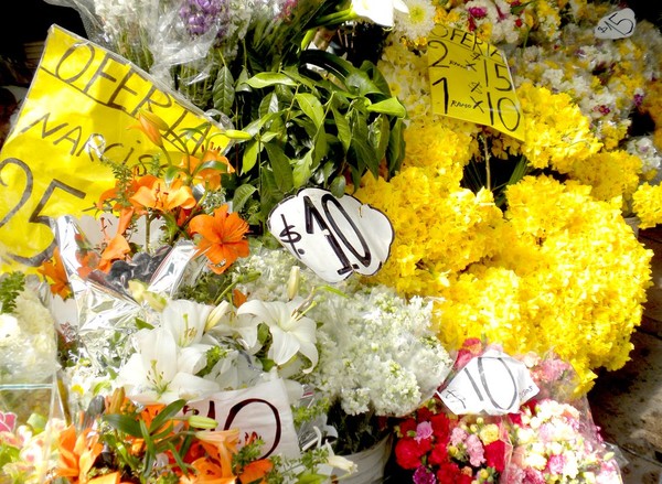 More flowers!