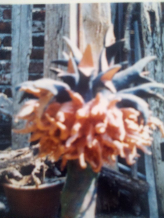 2013-04-02 11-03-55 592