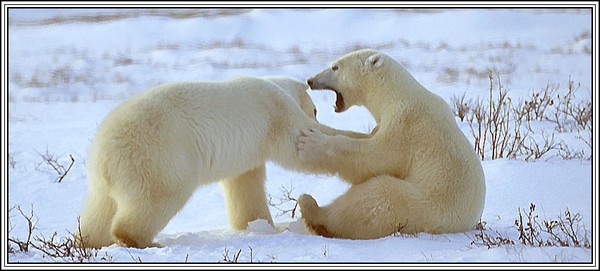 Don't Push Me!!!!