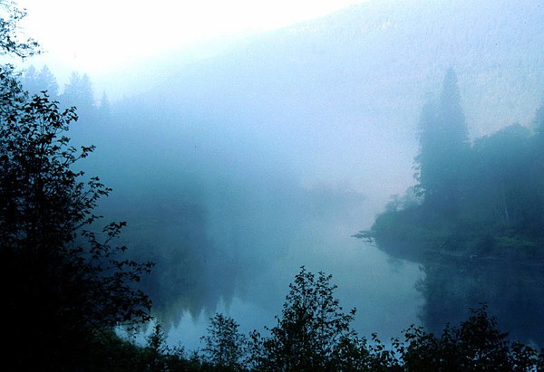 Early Morning Mist
