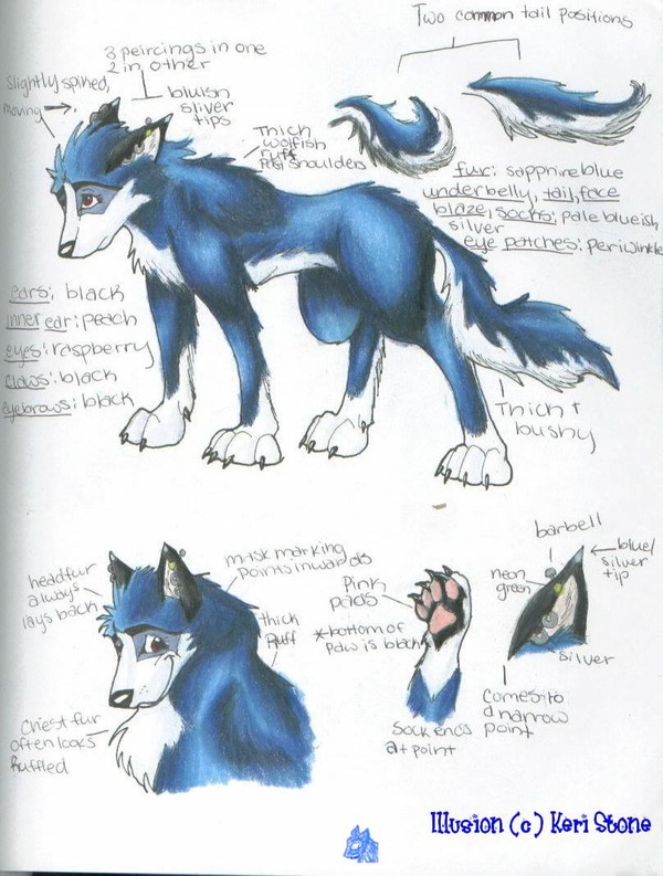 Illusion Ref Sheet.