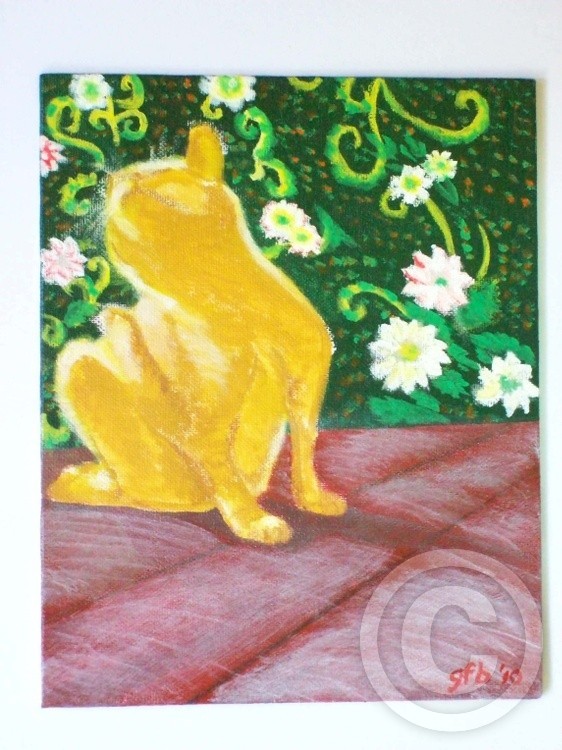 yellow cat