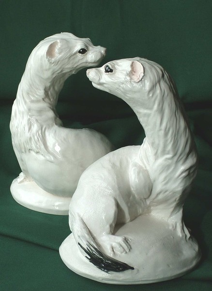 ermine