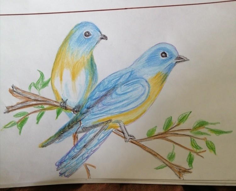 birds flying drawing colorful
