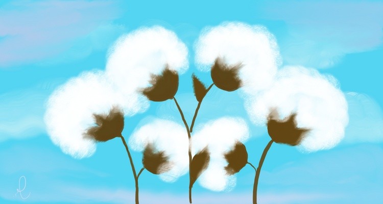 Cotton fields