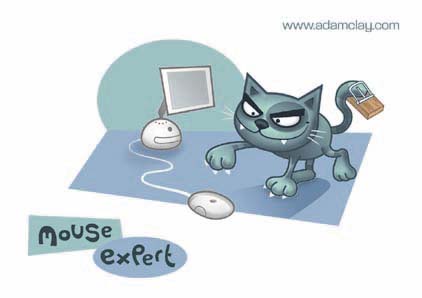 Cat Postcard