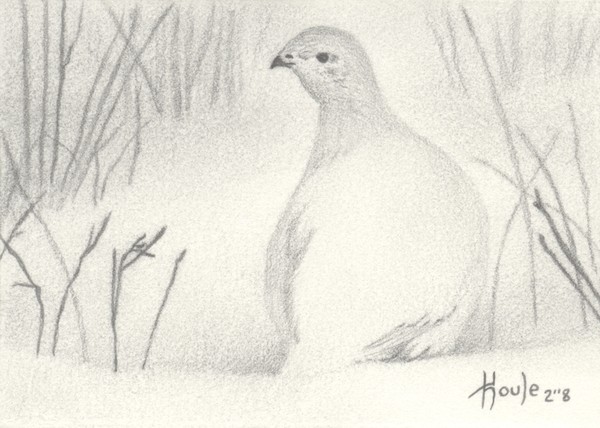 ACEO Snow Shadows - Ptarmigan