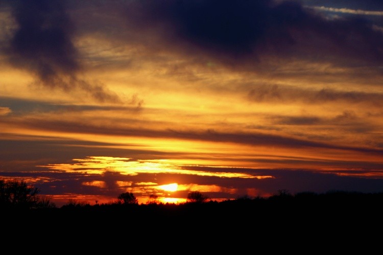 Fall Sky