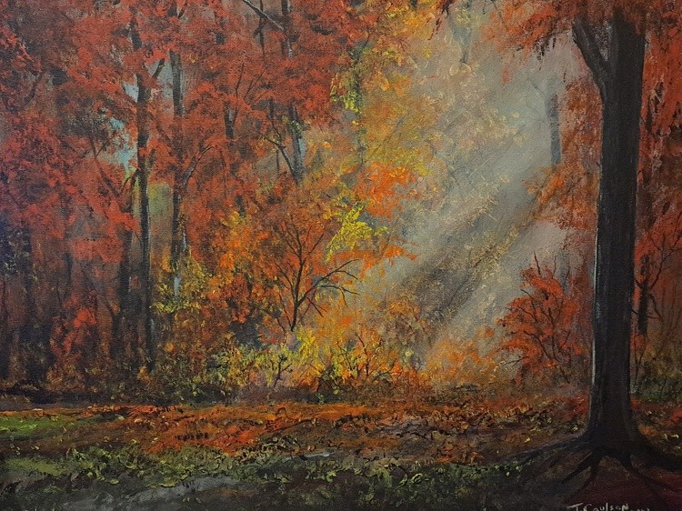 Early morning rays