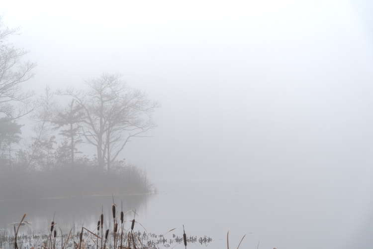FoggyHightPointSept202301