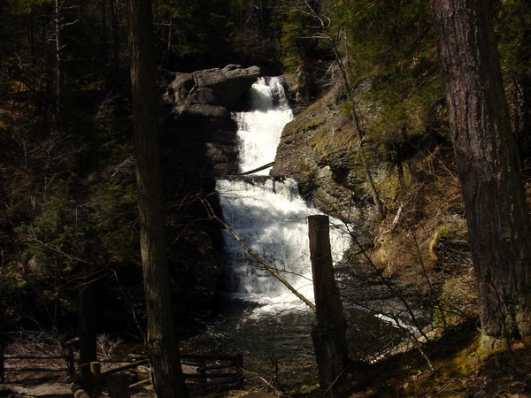 Spring Falls