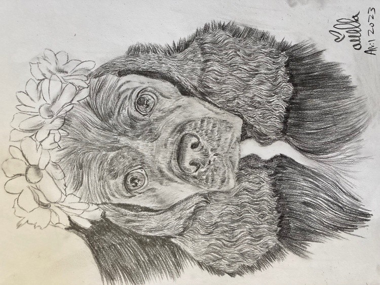 Miss Ava in Pencil