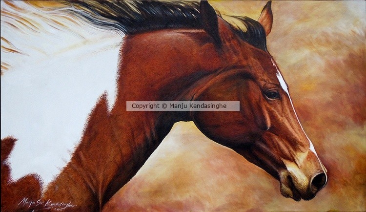 Brown horse