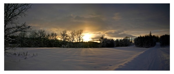 Winter sunset