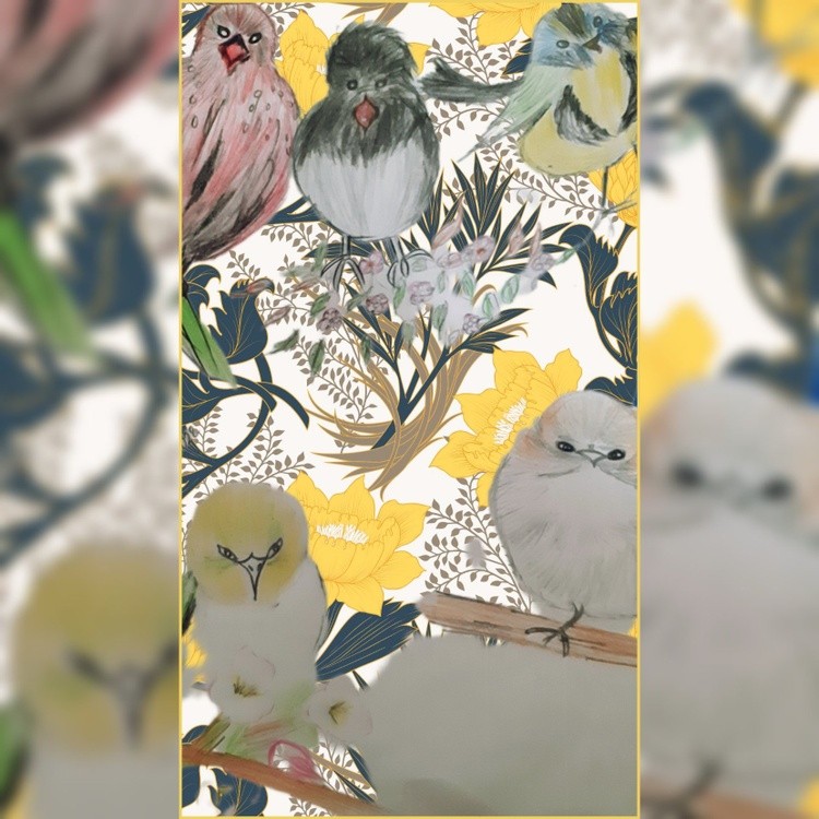 The birds