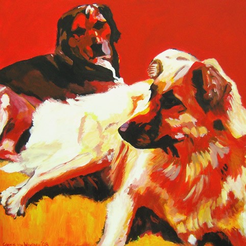 D275 dogs