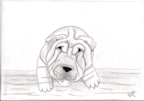 Poison (our dog)
