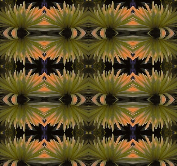 What do you see?