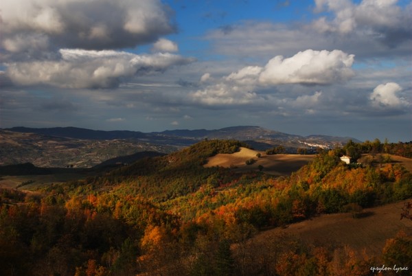 Autumn Light