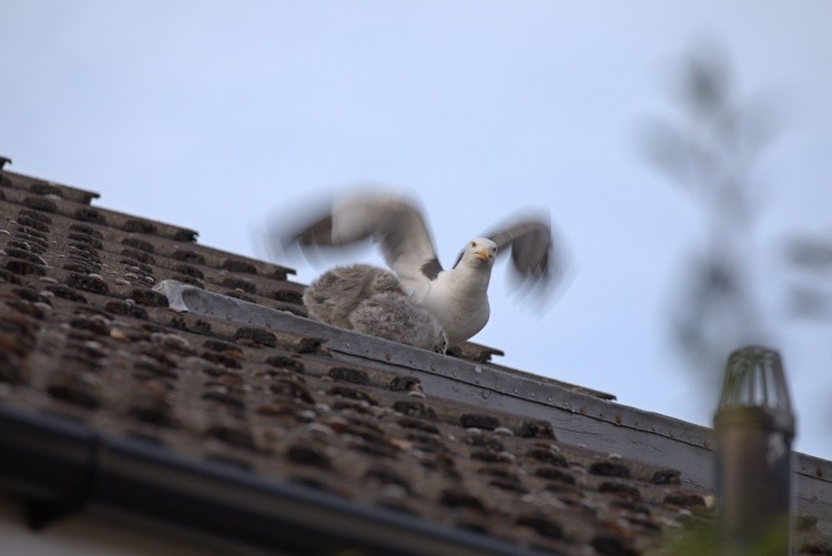 Air Con