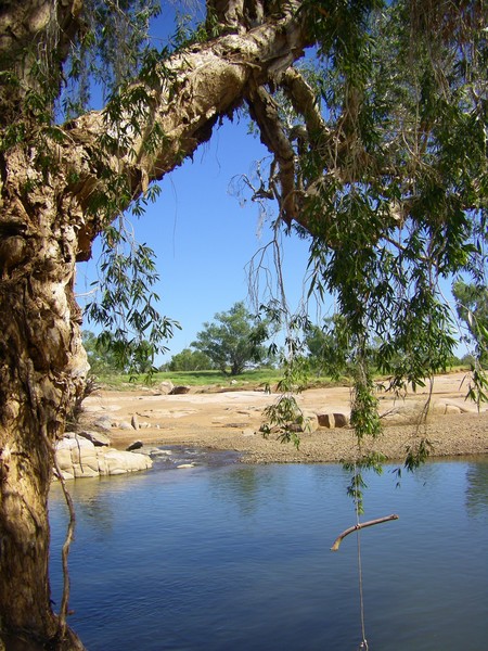 Waterhole on the Corella