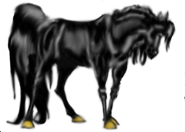 Toreador updated