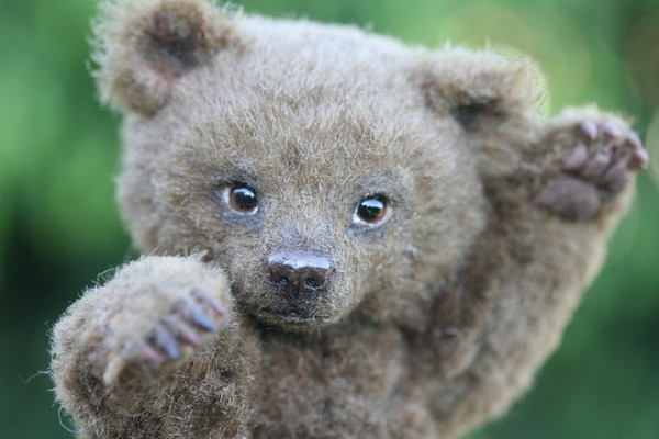 Grizzly Teddy Bear Cub