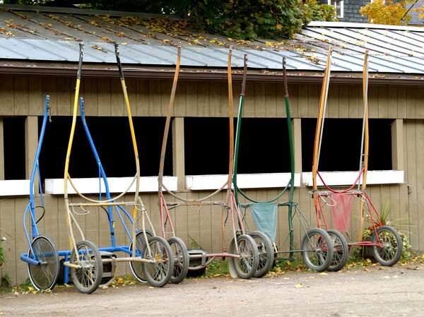Buggies