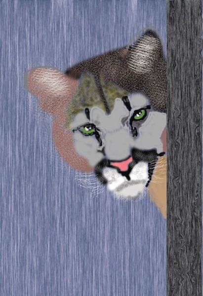 Cougar