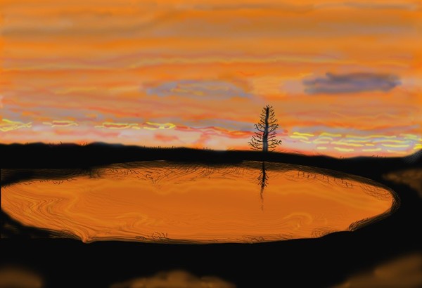 O259 Sunset