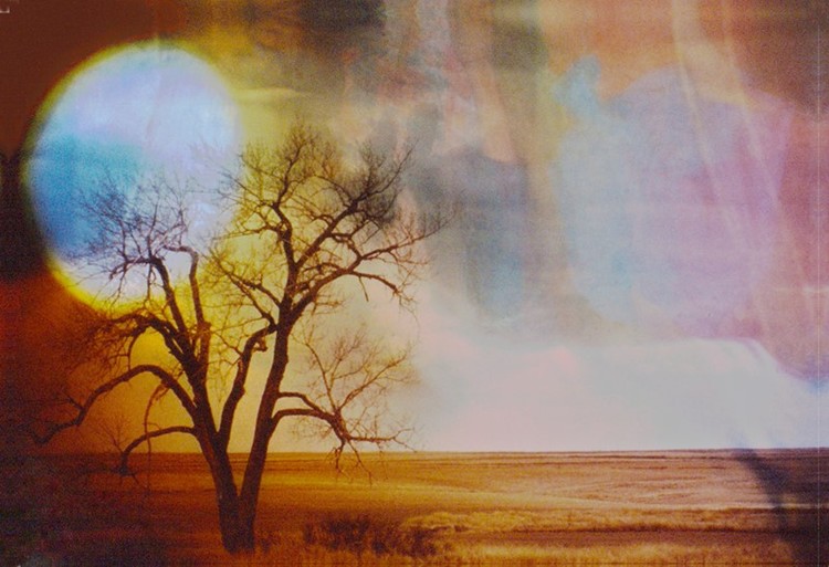 Sun Tree in HDR  L157