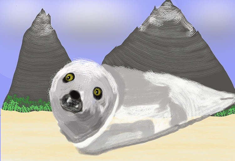 Penguin Pup on the Snow   P398